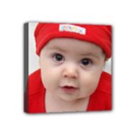(Your Photo Here) Mini Canvas 4  x 4  (Stretched)