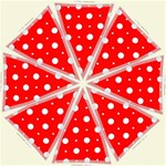 Umbrella s