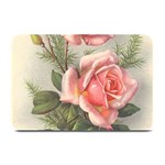 Vintage Pink Plate Mat